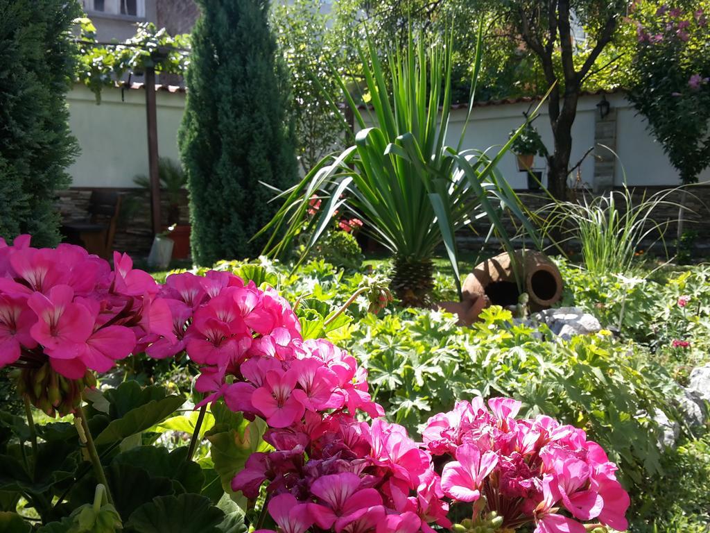 Keremidchieva Kushta Guest House サンダンスキ エクステリア 写真